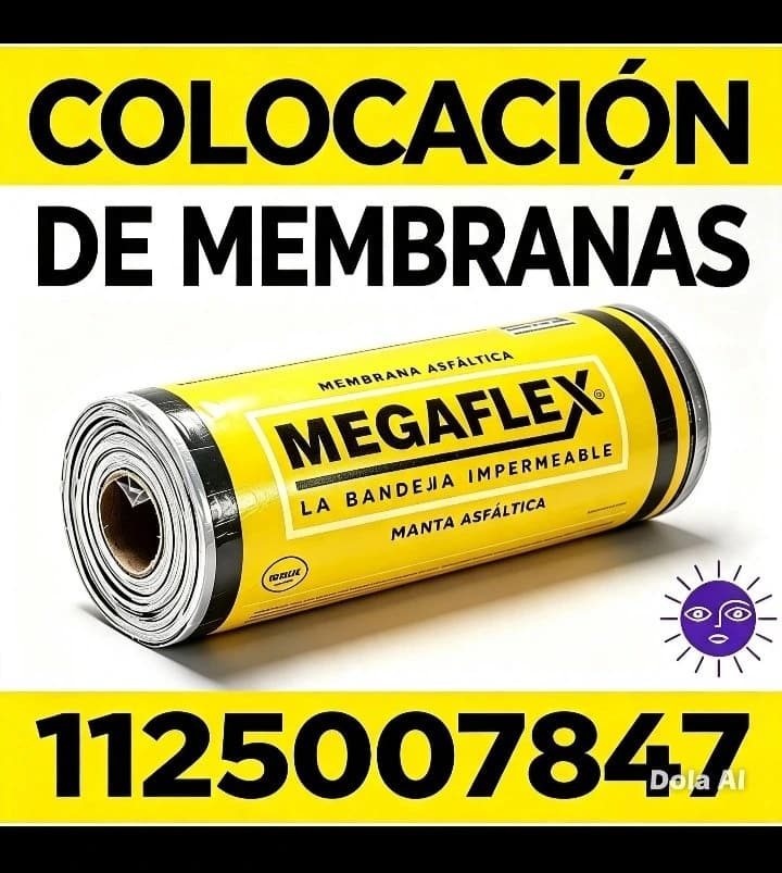 Portada de Colocacion De Membrana