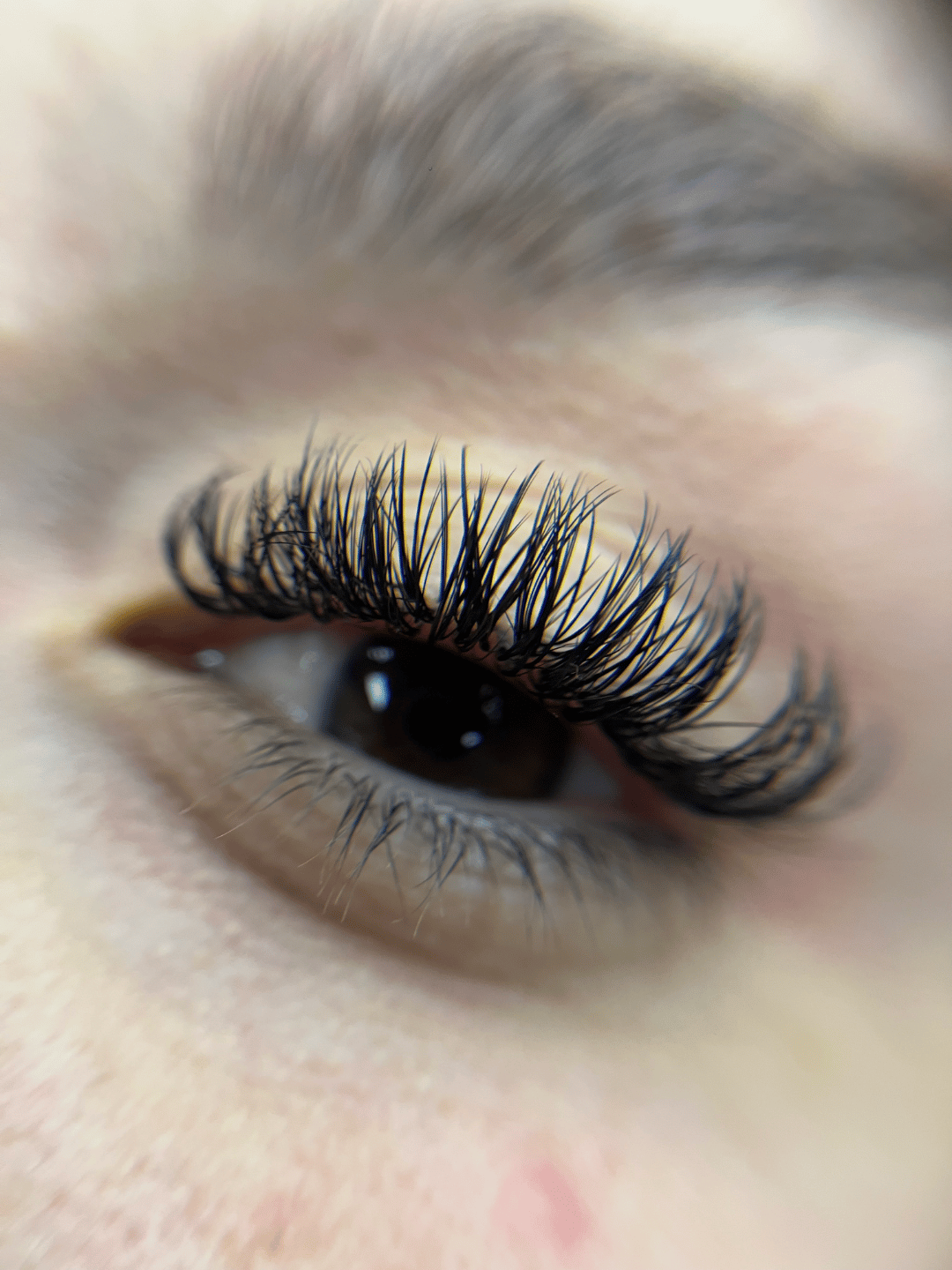Portada de Lulu Lashes