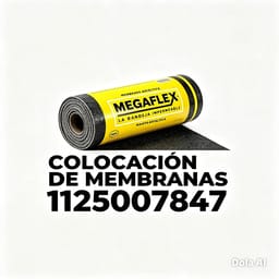 Avatar de Colocador De Membrana Lanus